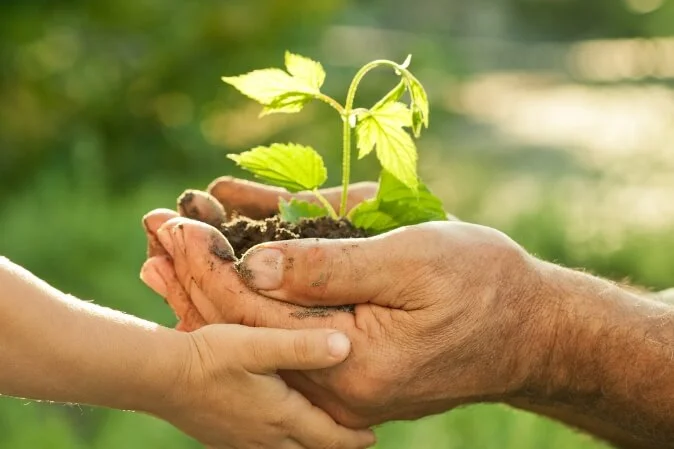 La natura, fonte delle materie prime Naturwaren