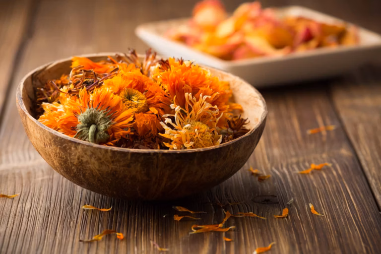 calendula lenitiva e dermoprotettiva