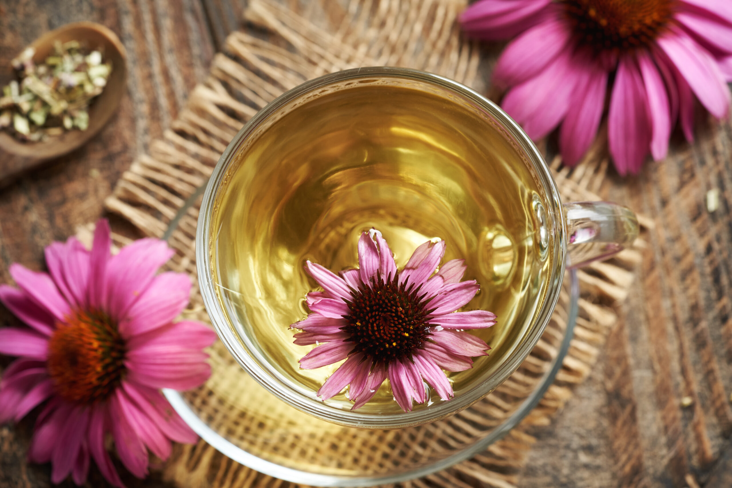 echinacea proprietà e benefici