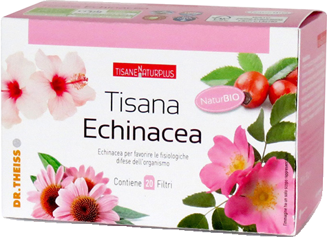 Tisana Echinacea