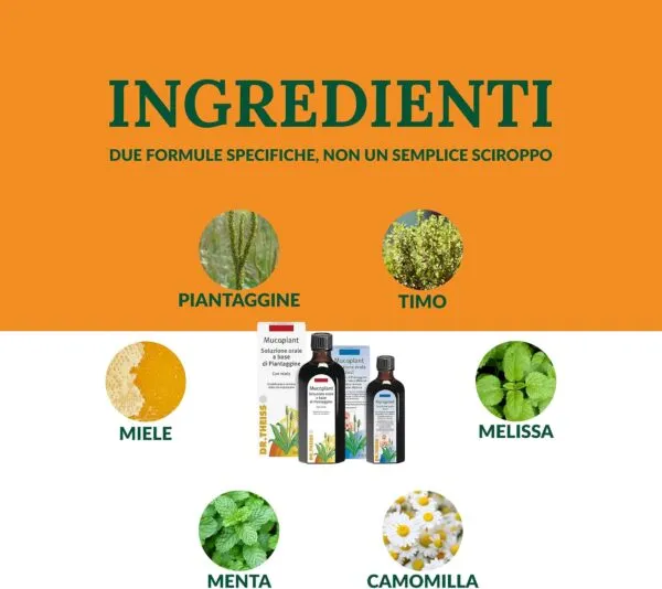 Ingredienti caratterizzanti